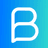BIB